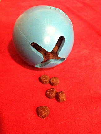 Tender Moist Dog Food Fits Perfectly in a Treat Ball